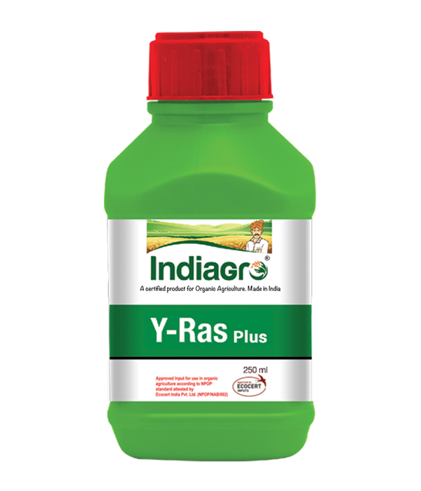 IndiaGro Y-Ras Plus 250ml